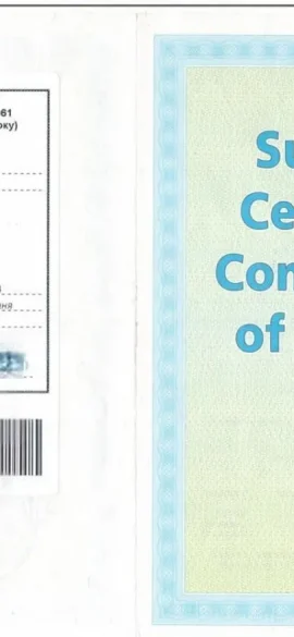 приклад термінового апостилю" class="wp-image-4371