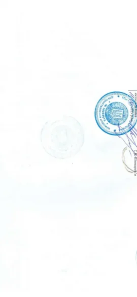 апостилирование выписки ЕГР" class="wp-image-4231