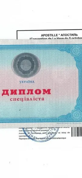 Апостиль МОН Украины на диплом" class="wp-image-4378