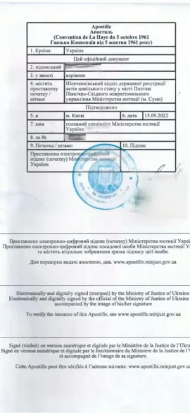 варіант свідоцтва" class="wp-image-4429