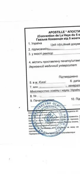 Апостиль на диплом магистра Украины" class="wp-image-4380
