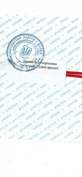 Апостиль на приложение к диплому кандидата наук" class="wp-image-4381